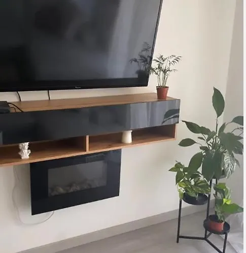 Appartement Cosy Et Bien Equipe